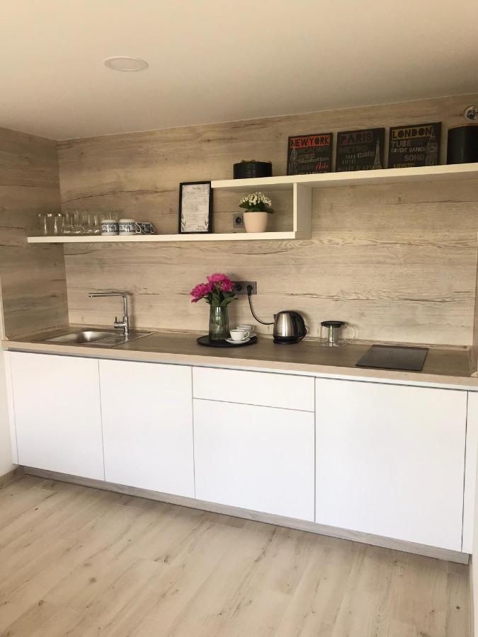 Soukromý pokoj s kuchyní a koupelnou v řadovce Nove Mesto na Morave Exterior foto